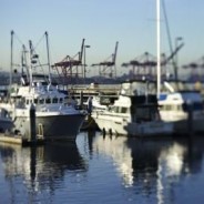 Boats-securely-tied-to-a-dock-18136 184x184